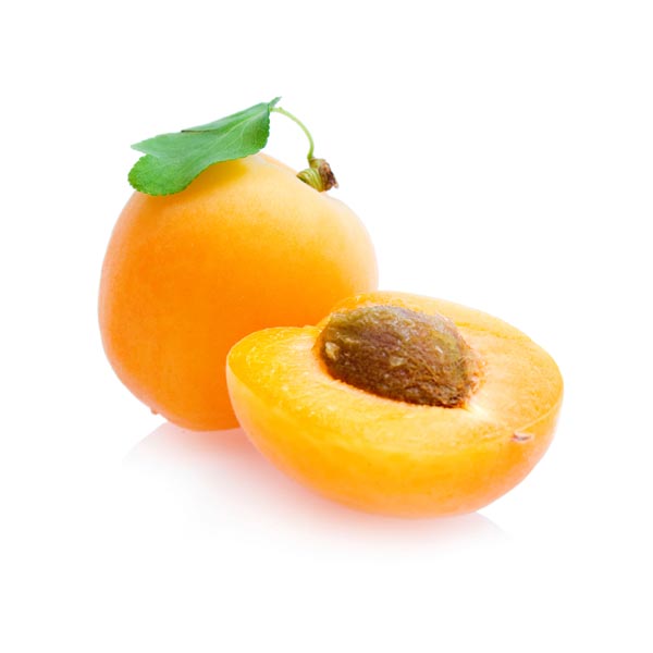 Apricot