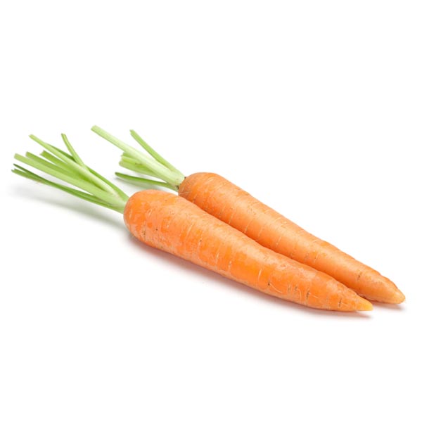 Carrot