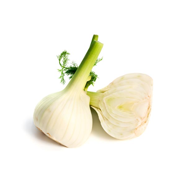 Fennel