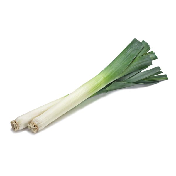 Leek