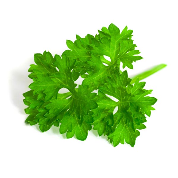 Parsley