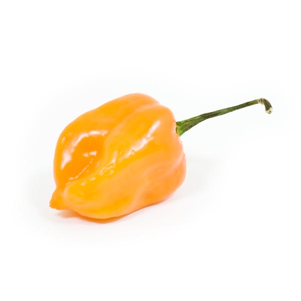 Pepper, Habanero