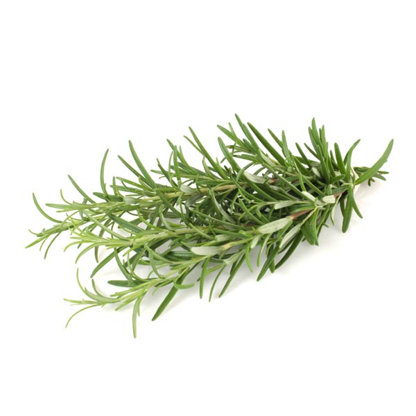 Rosemary