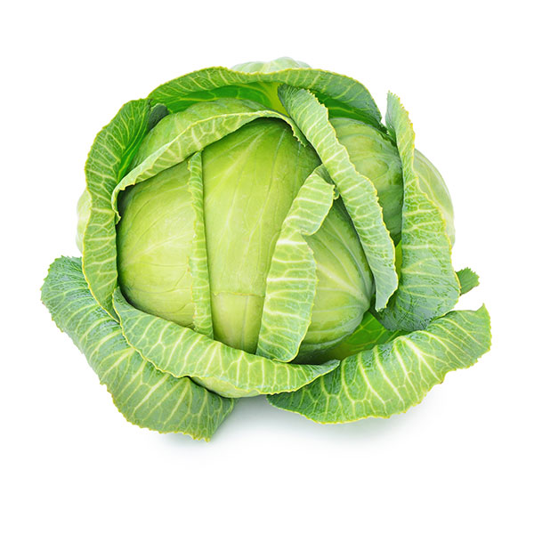 Cabbage